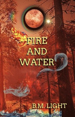 bokomslag Fire and Water