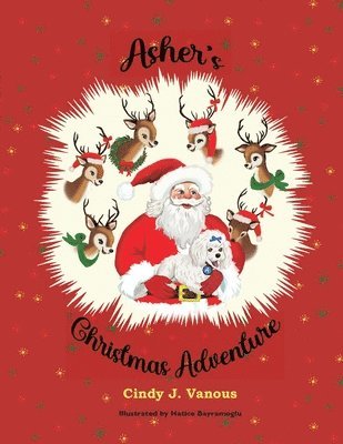 Asher's Christmas Adventure
