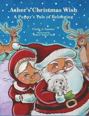 Cindy Vanous - Asher's Christmas Wish, Häftad