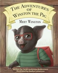 bokomslag The Adventures of Winston the pig: Meet Winston