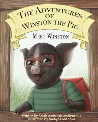 bokomslag The Adventures of Winston the pig