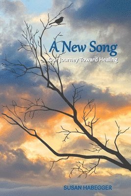 bokomslag New Song