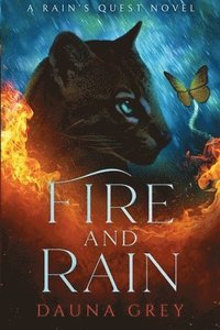 bokomslag Fire and Rain