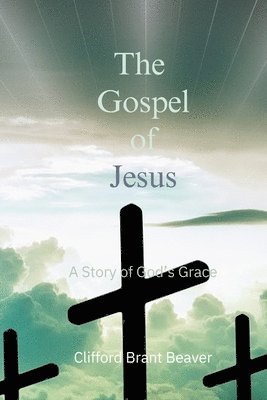 bokomslag Gospel of Jesus