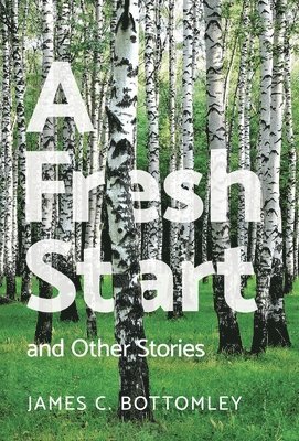 bokomslag A Fresh Start and Other Stories