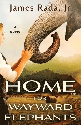 Home for Wayward Elephants 1