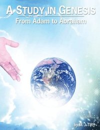 bokomslag Study in Genesis