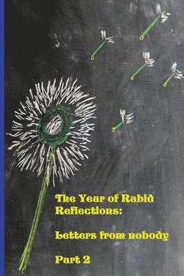 bokomslag Year of Rabid Reflections