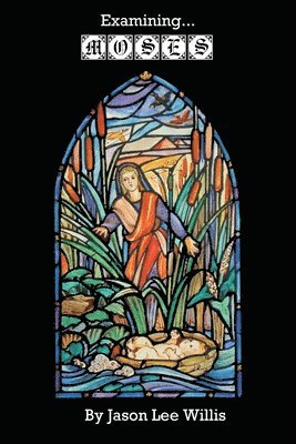 Jason Lee Willis - Examining Moses, Häftad