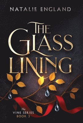 bokomslag Glass Lining
