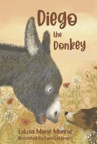 bokomslag Diego the Donkey
