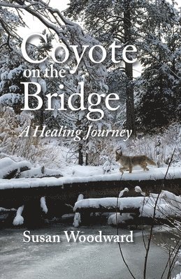 Coyote on the Bridge 1