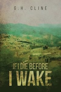 bokomslag If I Die Before I Wake