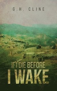 bokomslag If I Die Before I Wake