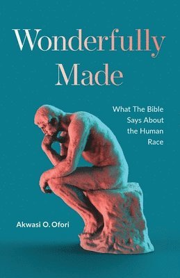 bokomslag Wonderfully Made