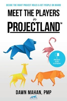 bokomslag Meet the Players in Projectland