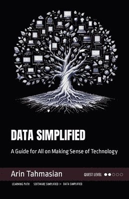 bokomslag Data Simplified