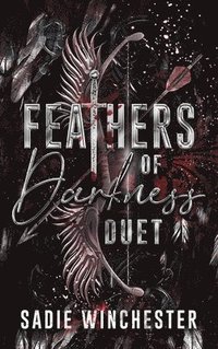 bokomslag Feathers of Darkness Duet