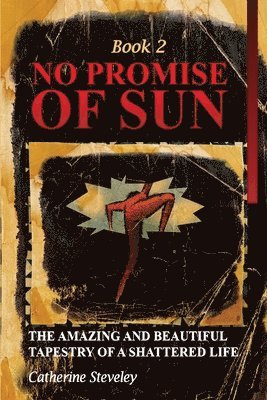 bokomslag No Promise of Sun, Book 2