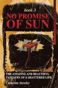 bokomslag No Promise of Sun, Book 3