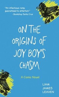 bokomslag On the Origins of Joy Boys Chasm