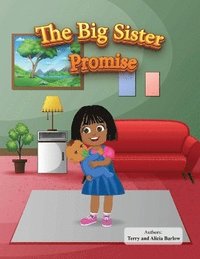 bokomslag Big Sister Promise