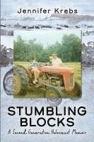 bokomslag Stumbling Blocks