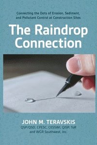 bokomslag Raindrop Connection