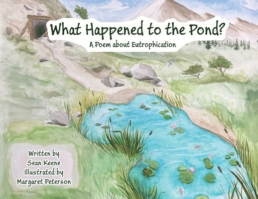 What Happened to the Pond? 1