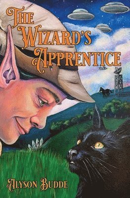 The Wizard's Apprentice 1