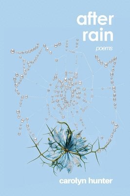 Carolyn Hunter - After Rain, Häftad
