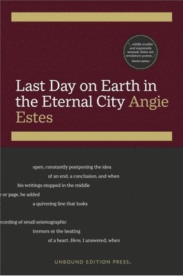 Angie Estes - Last Day on Earth in the Eternal City, Häftad