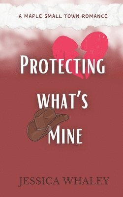 bokomslag Protecting what's Mine