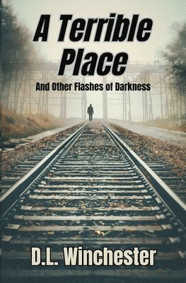 D L Winchester, D. L. Winchester, D.L. Winchester - Terrible Place and Other Flashes of Darkness, Häftad