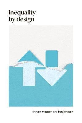 bokomslag Inequality by Design