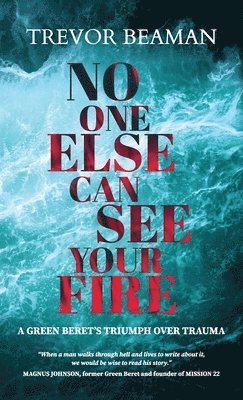bokomslag No One Else Can See Your Fire
