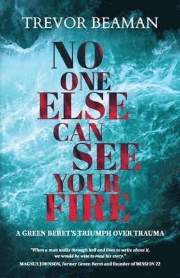 bokomslag No One Else Can See Your Fire