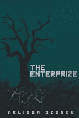 bokomslag Enterprize