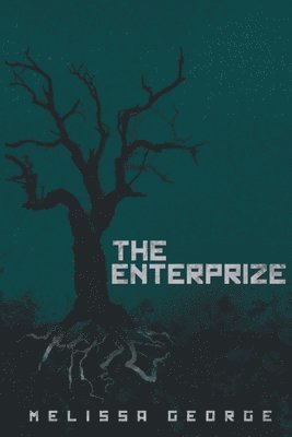 The Enterprize 1