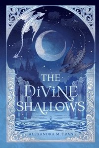 bokomslag Divine Shallows