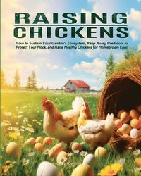 bokomslag Raising Chickens: How to Sustain Your Garden's Ecosystem, Keep Away Predators to Protect Your Flock, and Raise Healthy Chickens for Homegrown Eggs