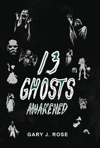 bokomslag 13 Ghosts Awakened