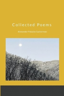 bokomslag Collected Poems