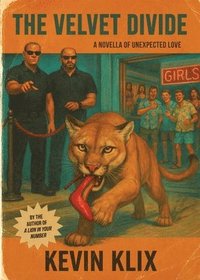 bokomslag The Velvet Divide: A Novella of Unexpected Love