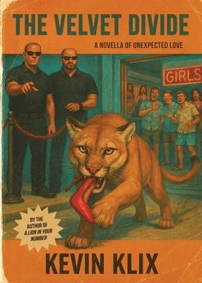 bokomslag The Velvet Divide: A Novella of Unexpected Love