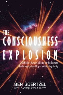 bokomslag Consciousness Explosion