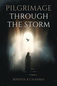 bokomslag Pilgrimage Through the Storm