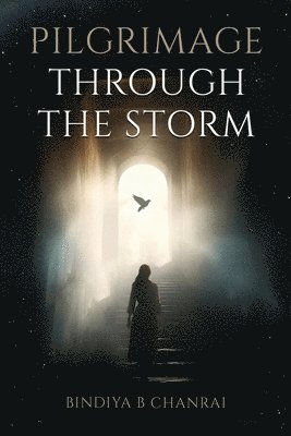 Bindiya B Chanrai - Pilgrimage Through the Storm, Häftad