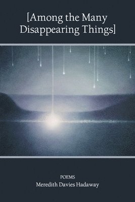 Meredith Davies Hadaway, Meredith  Davies Hadaway - [Among the Many Disappearing Things], Häftad