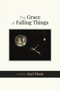bokomslag Grace of Falling Things